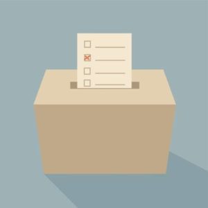 Internettet har endnu ikke afløst den langsommelige procedure med valgkort og manuel optælling af stemmer.