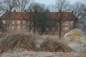 IMG_7042