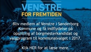 20151219_venstre_ads_300x173